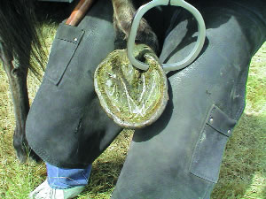 photo1