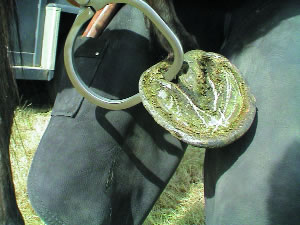 photo4