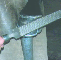 roping 3