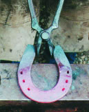roping 3